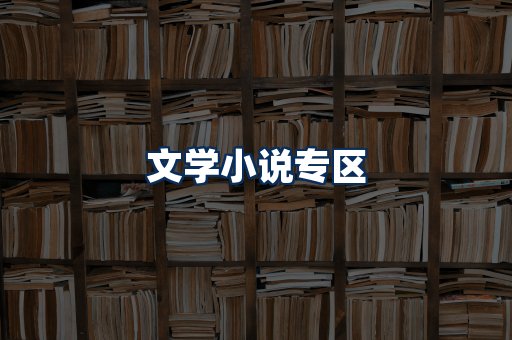 文学小说PDF展示